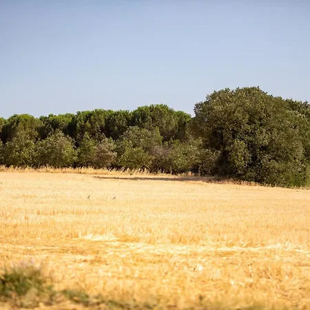 La Bergerie Apartamento Savasse